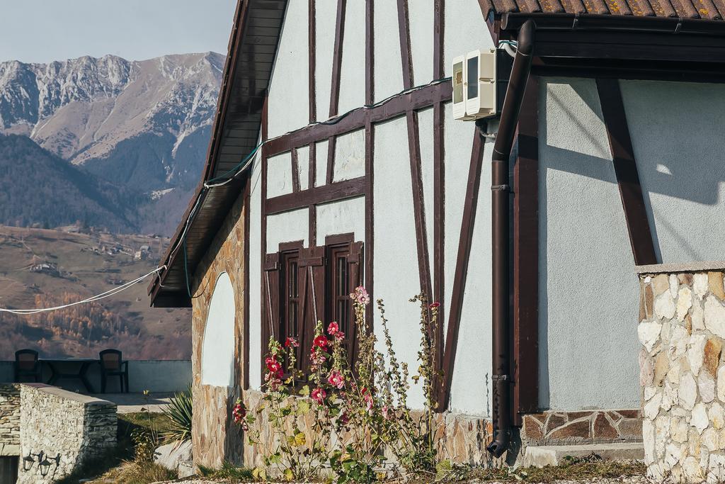 Drumul Carului Villa Моечу-де-Жос Экстерьер фото