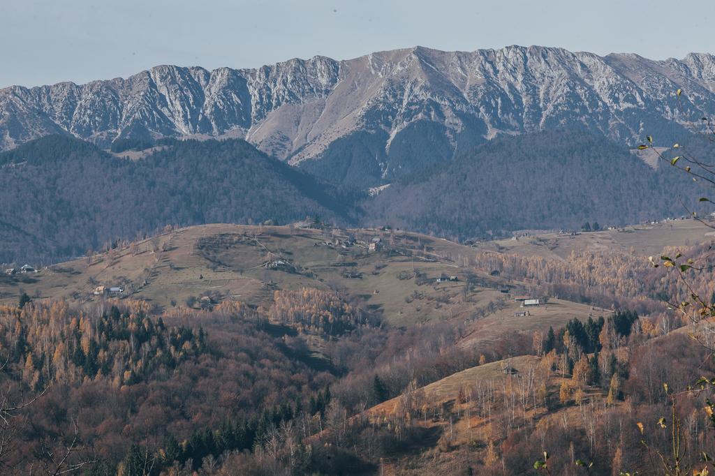 Drumul Carului Villa Моечу-де-Жос Номер фото