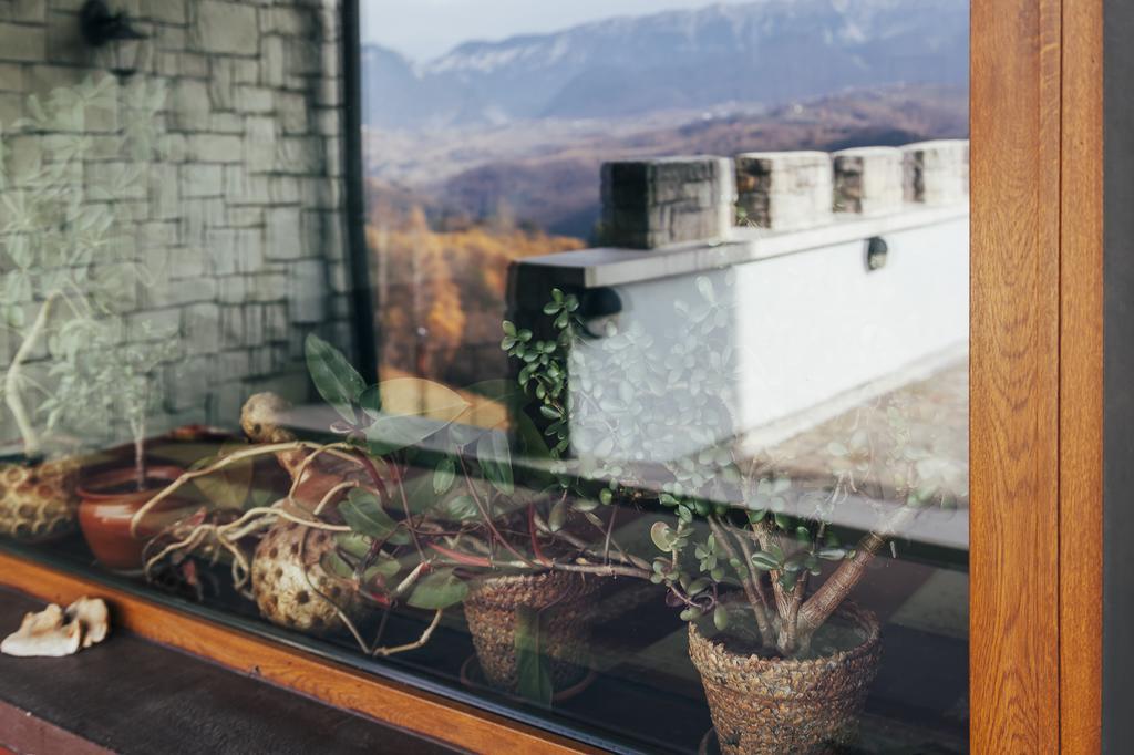 Drumul Carului Villa Моечу-де-Жос Экстерьер фото